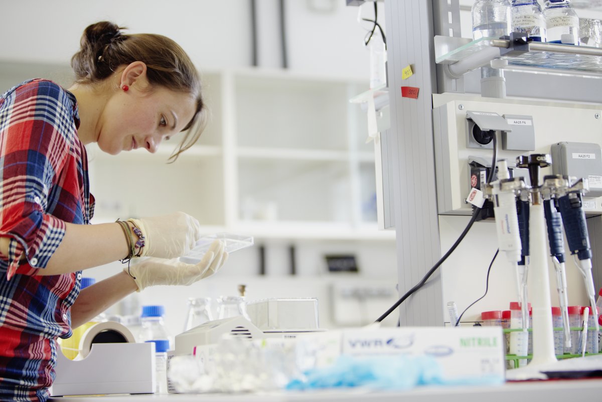 Studentin im blau-weiß-roten Karohemd mit weißen Handschuhen an arbeitet im Labor. 