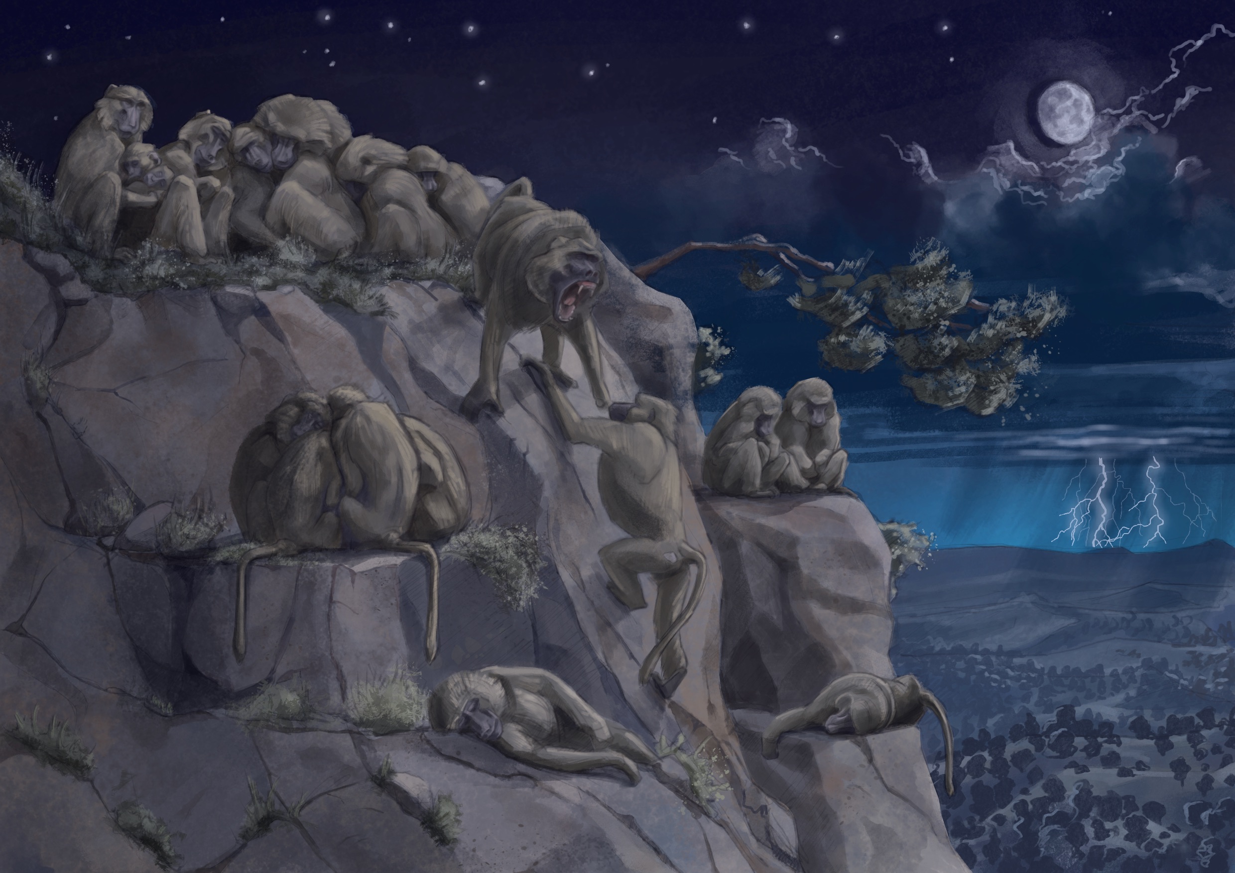 Illustration baboons on a cliff