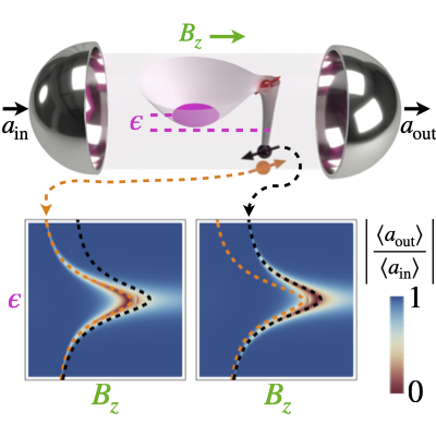 Schematic of nuclear-spin readout in quantum dots embedded in a superconducting microwave cavity.