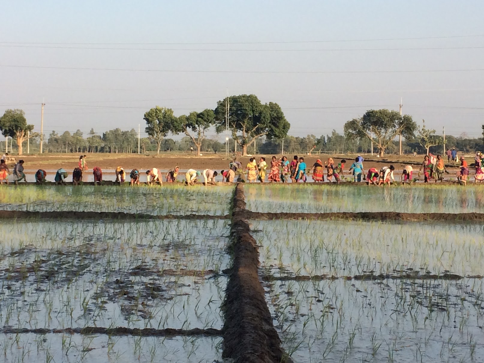 Soziale Sicherung in Bangladesch: Ein Feldexperiment